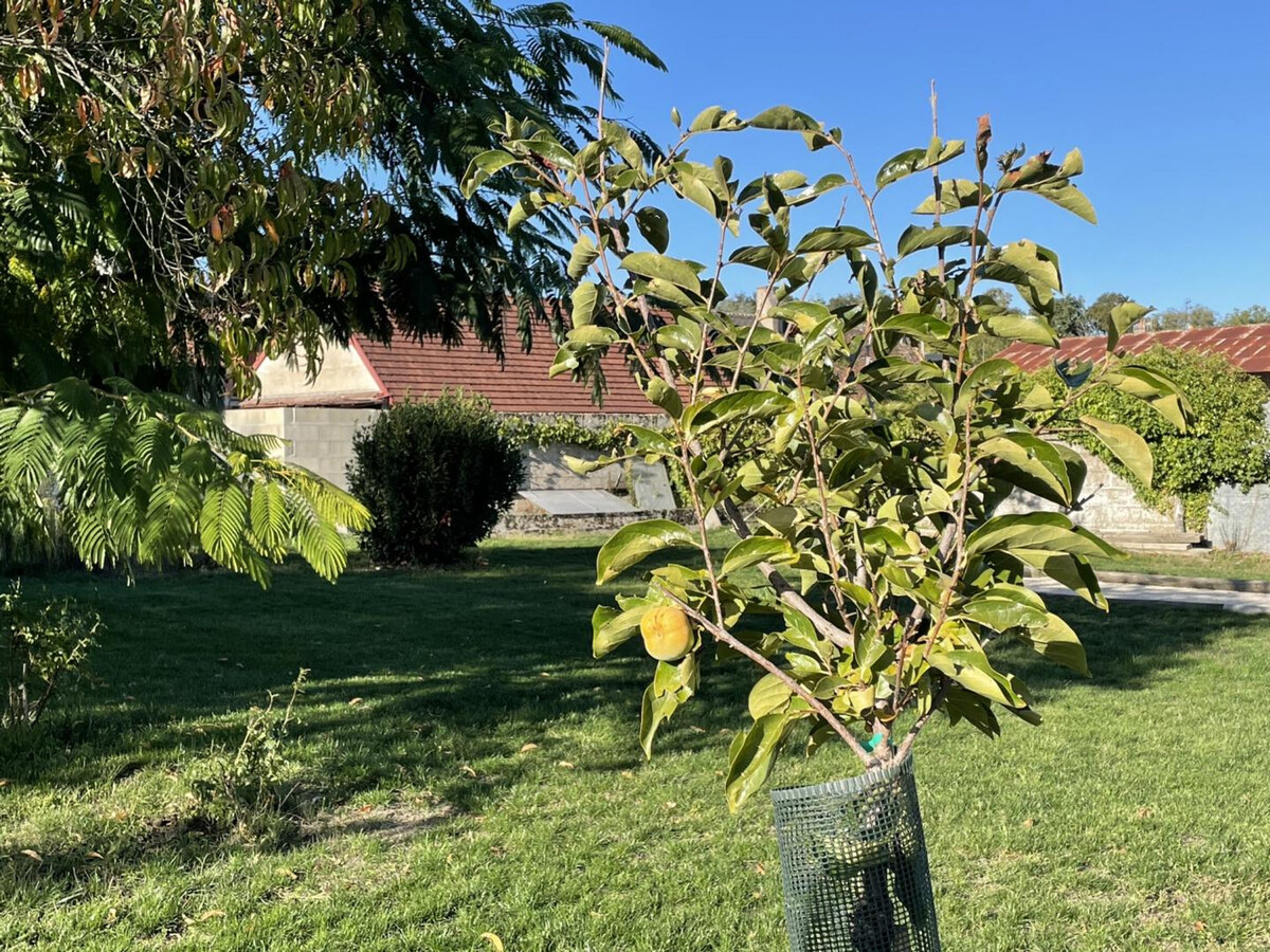 Gîte 6 pers. avec jardin 2000m² à Veuzain-sur-Loire - Photo 15