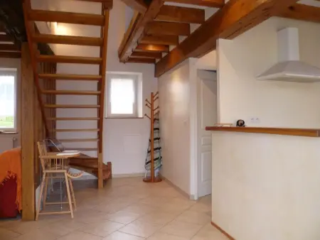 Le Bois Doré – Gîte 6 pers. avec jardin clos - Photo 11