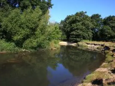 Gîte plain-pied Sologne, jardin et pêche sur la Sauldre : photo 17
