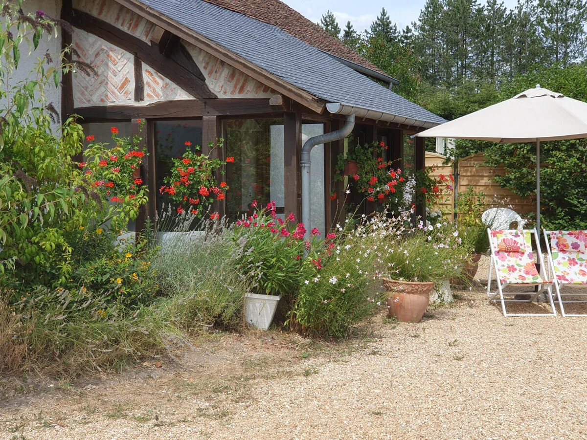 Gîte rustique dans ancienne grange à Cheverny - Photo 1