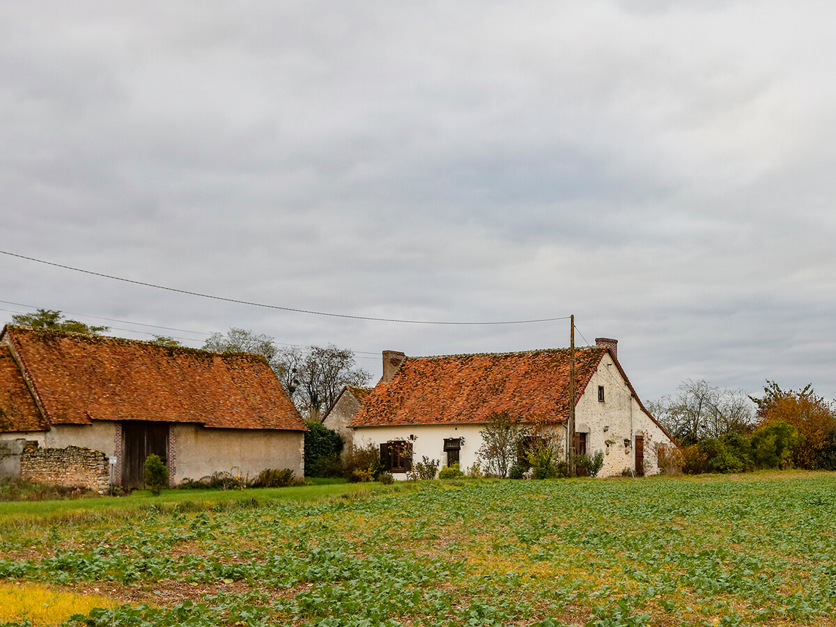 Gîte restauré 8 pers. à Crucheray, jardin et cheminée - Photo 22
