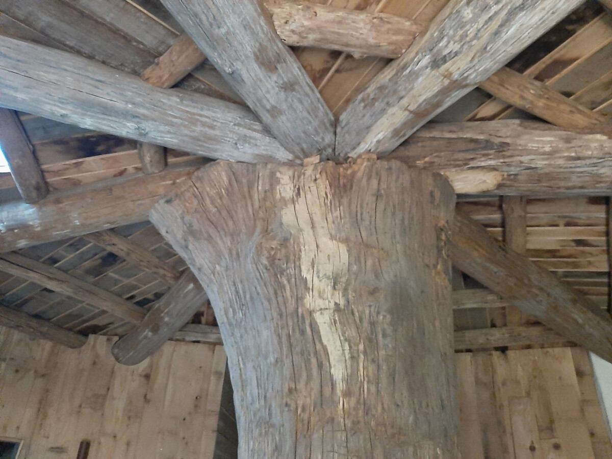 Gîte Maison Hobbit avec Arbre, Crouy-sur-Cosson - Photo 18