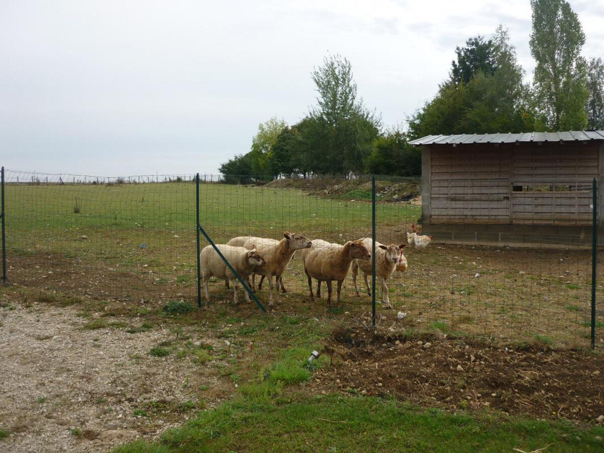 Gîte 8 pers. dans ferme rénovée, piscine chauffée - Photo 11