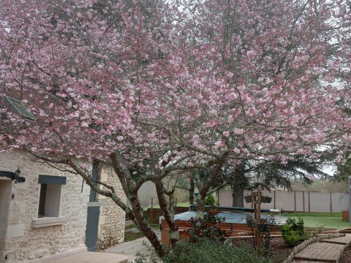 Gîte des Geais avec piscine chauffée à Faverolles-sur-Cher - Photo 19