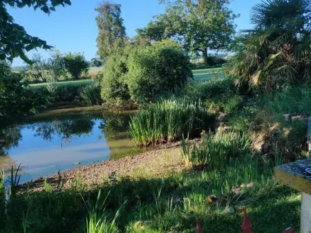 Gîte neuf avec piscine chauffée à Prunay-Cassereau : photo 5