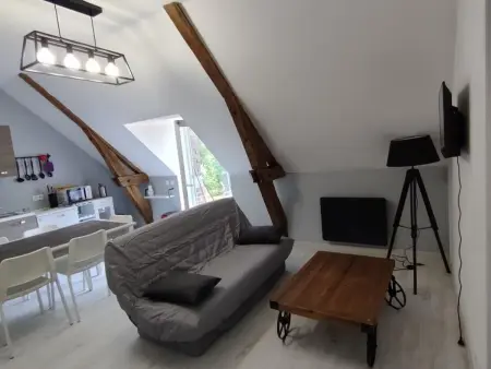 Gîte neuf avec piscine chauffée à Prunay-Cassereau : photo 11