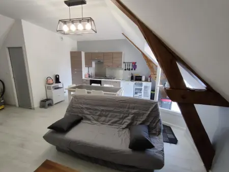 Gîte neuf avec piscine chauffée à Prunay-Cassereau : photo 12