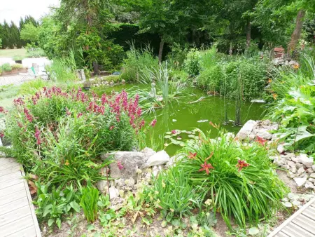 Gîte climatisé 2 pers. jardin 1 hectare, cheminée : photo 15