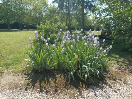 Gîte climatisé 2 pers. jardin 1 hectare, cheminée : photo 21