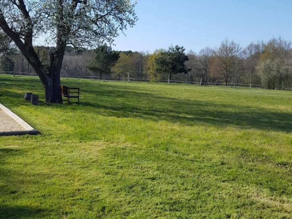 Gîte 3 pers. avec terrain de 5000 m² à Pouillé - Photo 29