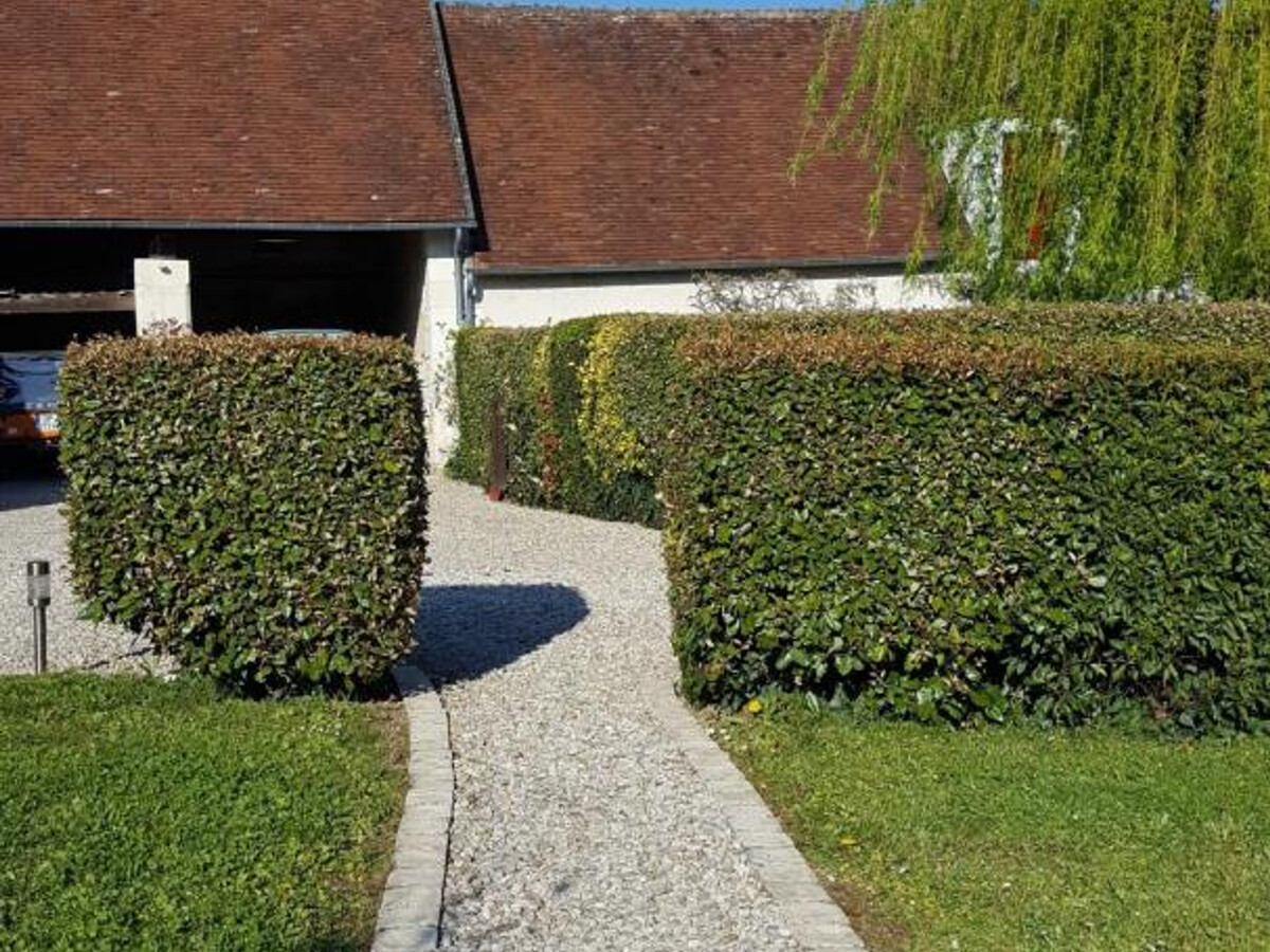 Gîte 3 pers. avec terrain de 5000 m² à Pouillé - Photo 32