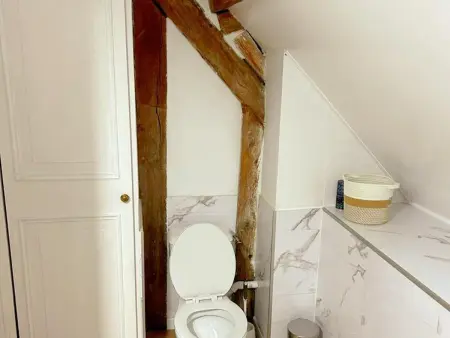 Gîte 15 pers. avec piscine chauffée à Thoré-la-Rochette : photo 18