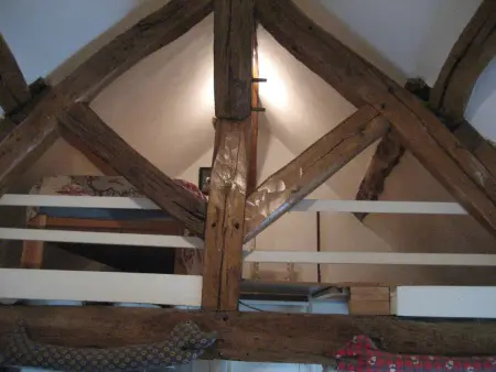 Gîte avec étang et barque en Sologne : photo 5