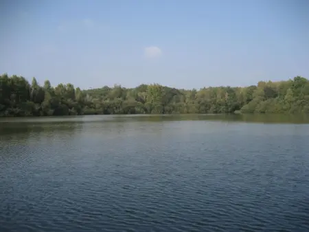 Gîte avec étang et barque en Sologne : photo 8