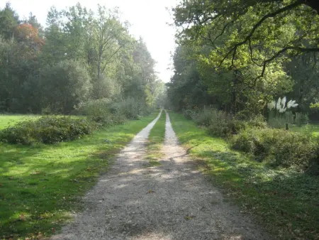 Gîte avec étang et barque en Sologne : photo 9