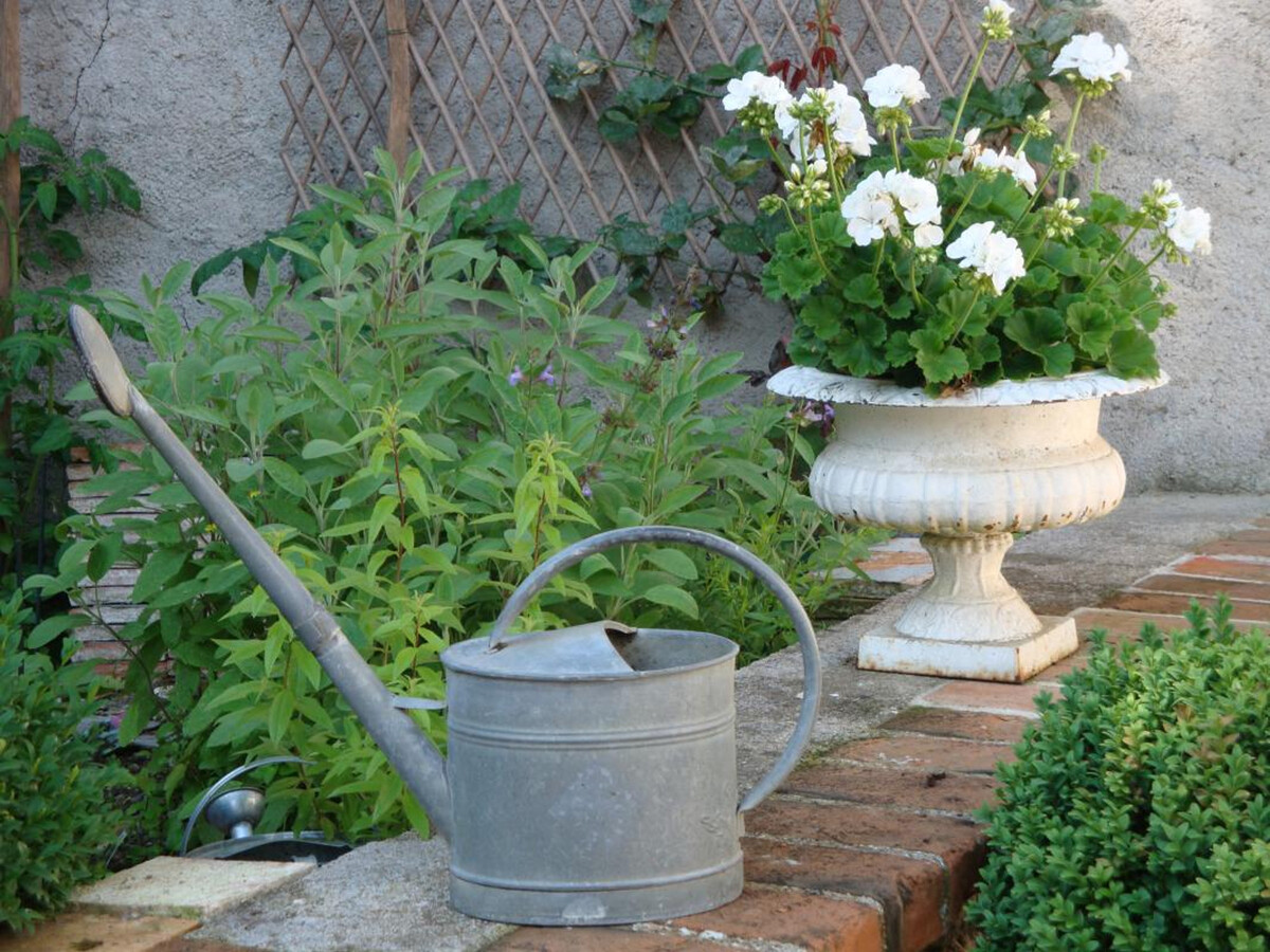Gîte de charme 2 pers. à Blois avec jardin privé et garage - Photo 15