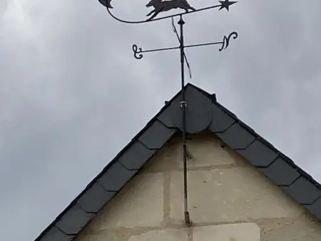 Gîte de 10 personnes à la ferme avec animaux et cheminée : photo 19