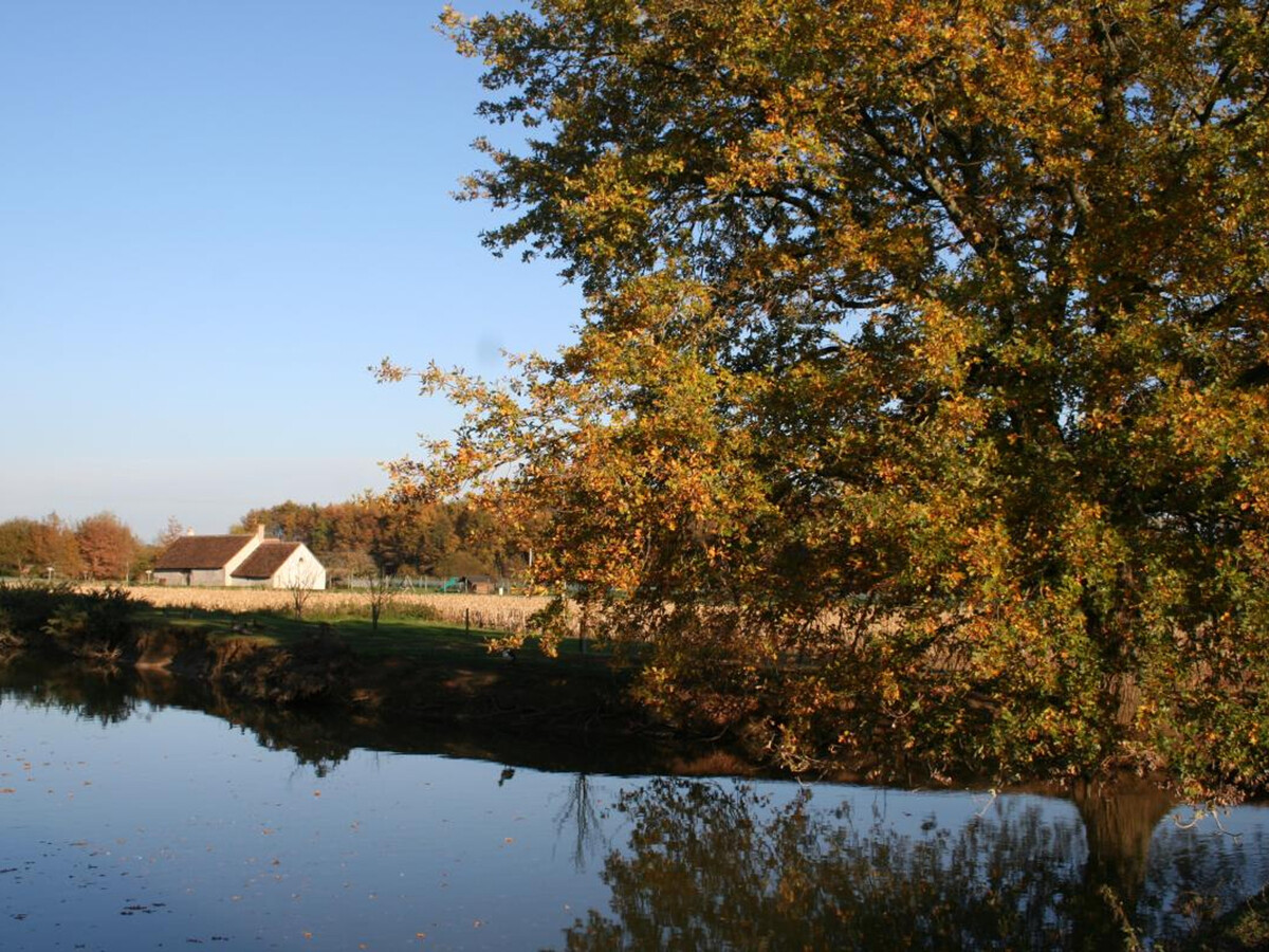 Gîte Sologne 6 pers. • 3500 m² de jardin & lac - Photo 36